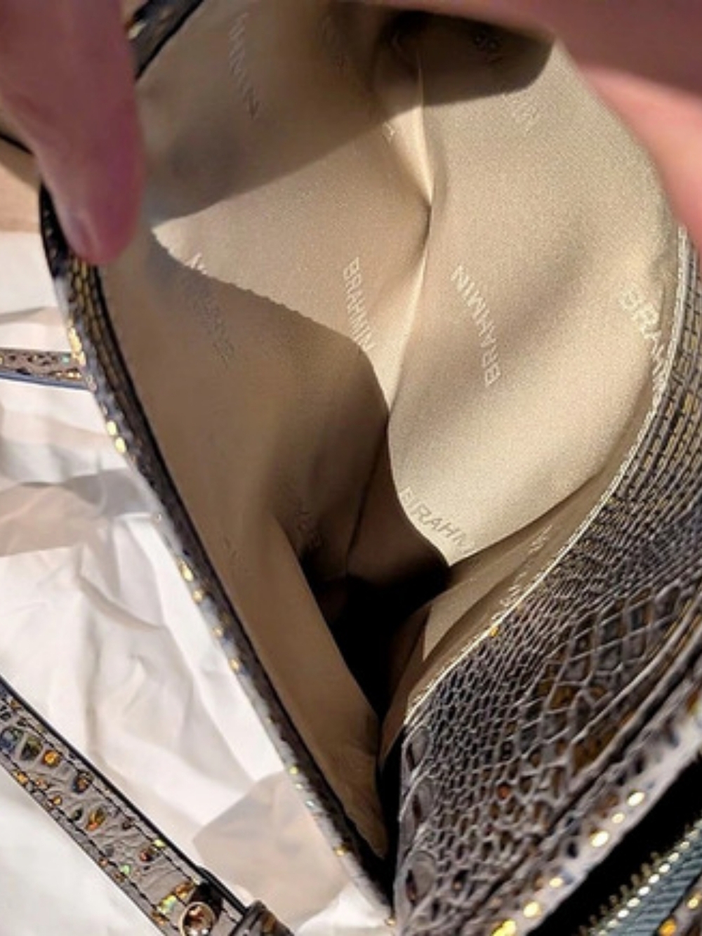 Brahmin Vida-Regal Mini Melbourne Crossbody Bag NWT - Picture 15 of 16